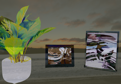 Framed abstract art prints with vibrant colors displayed beside a potted plant against a sunset sky.