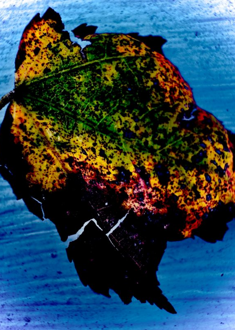 Etched in Time no. 2