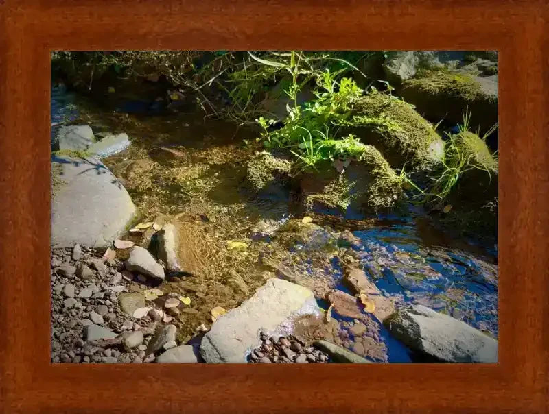 Framed nature photo of clear stream with mossy rocks and green plants, natural world artwork print