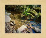 Framed nature photo of a clear stream with mossy rocks and green plants, natural world artwork