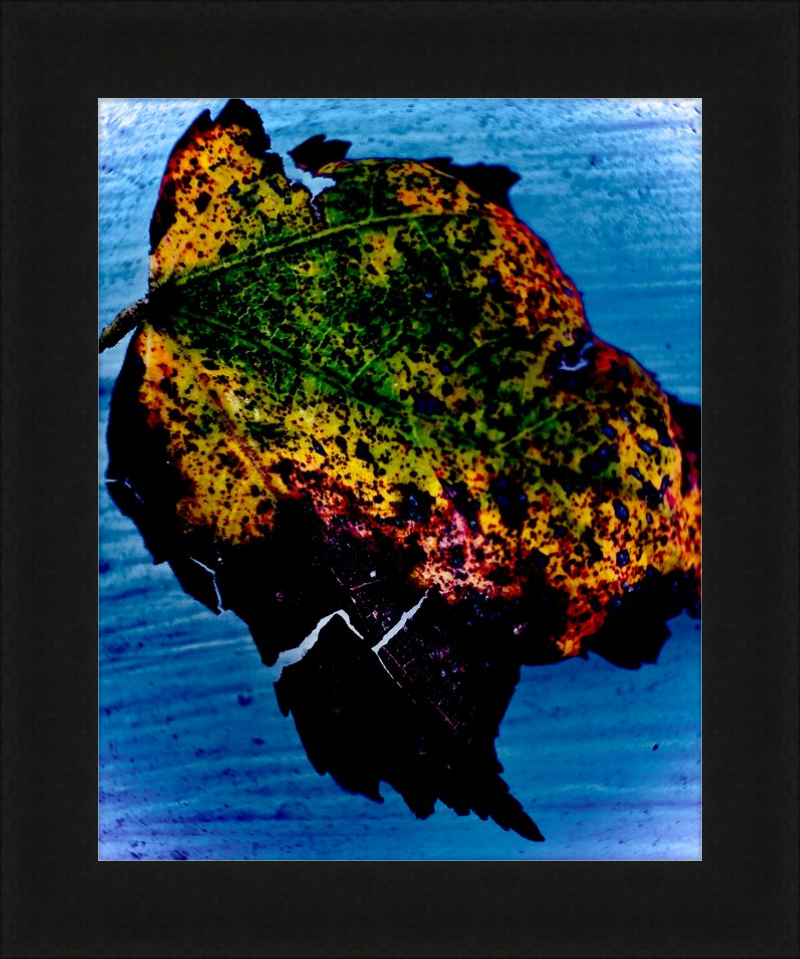 Etched in Time no. 2