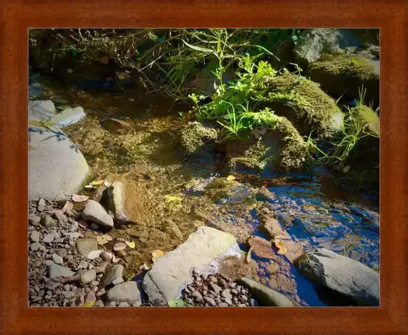 Framed nature photo of a clear stream with mossy rocks, fallen leaves, and sunlight reflections, ideal for nature wall art.