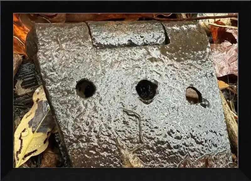 Rusty metal hinge with three holes, surrounded by autumn leaves, natural texture photography print