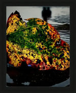Colorful autumn leaf with green, yellow, red, and black spots, resting on wet surface near water, framed print