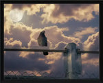 Pigeon perched on fence post against cloudy sky with full moon, framed print