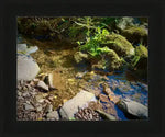 Framed nature photo of a clear stream with mossy rocks and green plants, natural world artwork
