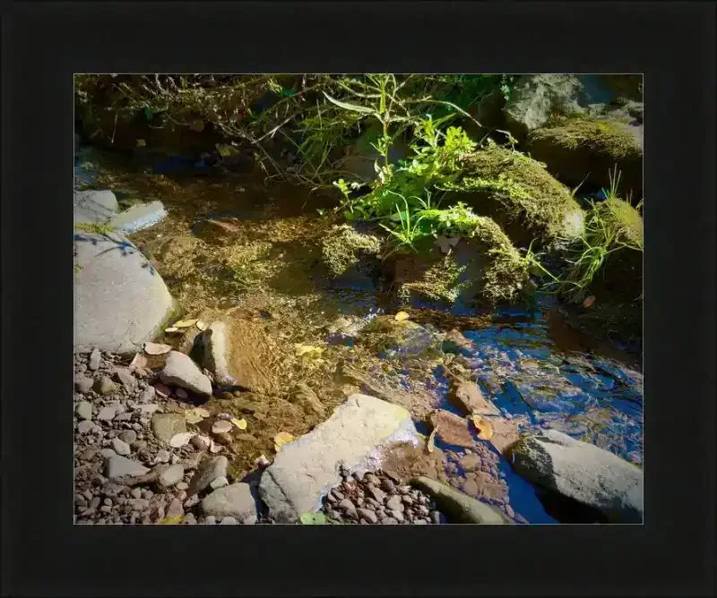 Framed nature photo of a clear stream with mossy rocks and green plants, natural world artwork