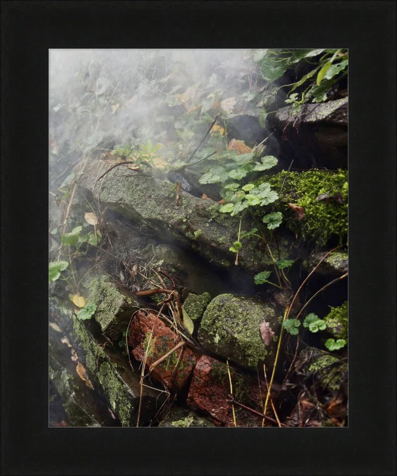 The Stillness of Time