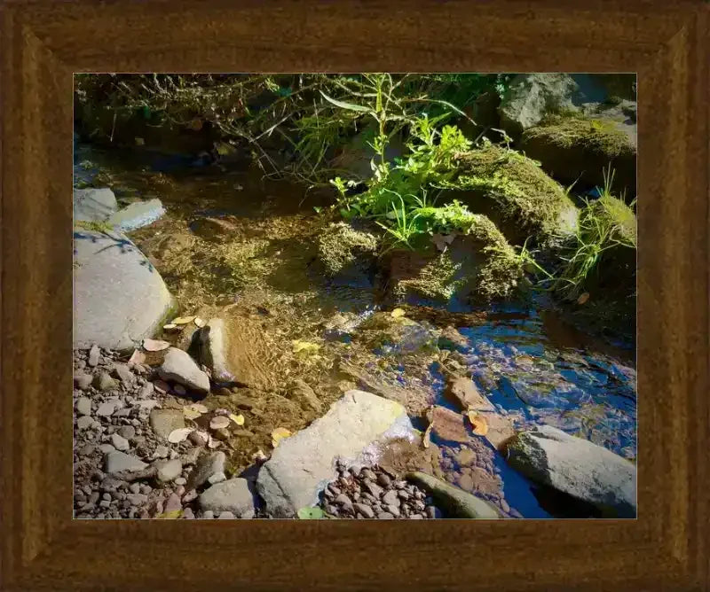 Framed nature print of a clear stream with rocks, moss, and greenery, showcasing natural world photography.