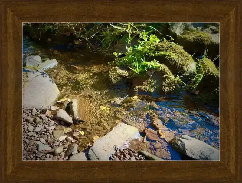 Framed nature photo of a clear stream with mossy rocks and green plants, perfect for nature lovers.