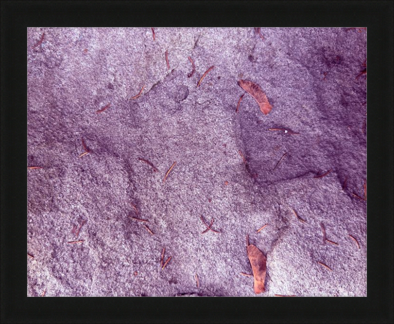 Images From the Past