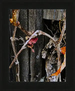 Framed nature photo of dried vines and leaves on weathered wood, rustic autumn wall art print