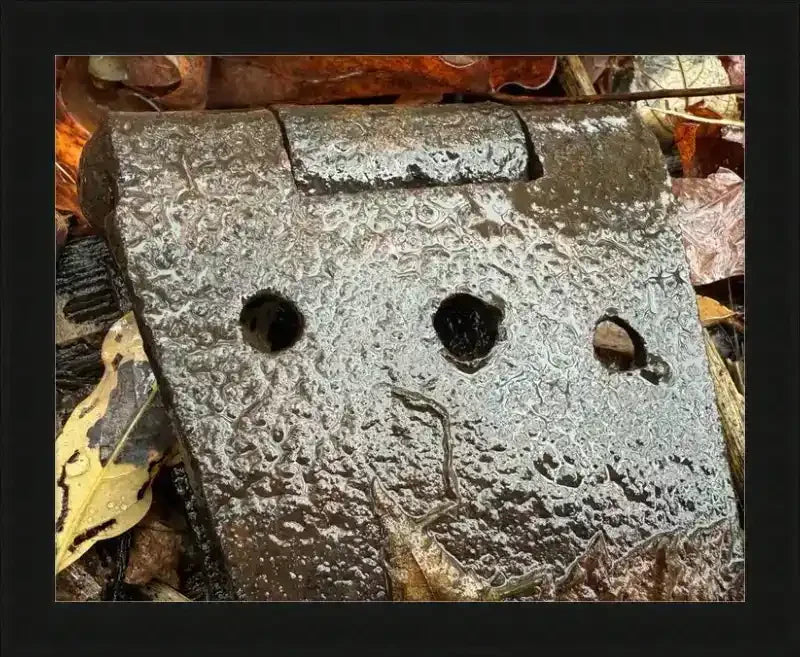 Rusty metal hinge with raindrops, nestled among autumn leaves, framed print