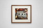 Framed nature photo of weathered stone with holes among autumn leaves, displayed on white wall