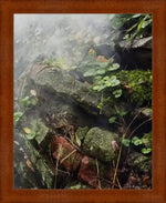 Misty mossy stone wall with green foliage, framed nature photography print