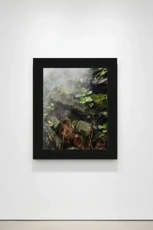 Framed nature photograph of misty rocks and green foliage in black frame on white gallery wall