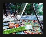 Weathered wooden bench in autumn forest with fallen leaves and moss, framed print