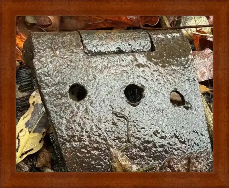 Rusty metal hinge with three holes, nestled among autumn leaves, framed in wood