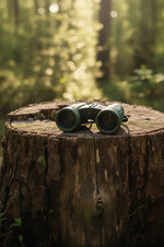 Green binoculars on tree stump in sunlit forest, nature photography print