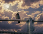 Pigeon perched on fence under full moon with dramatic clouds, nature photography print
