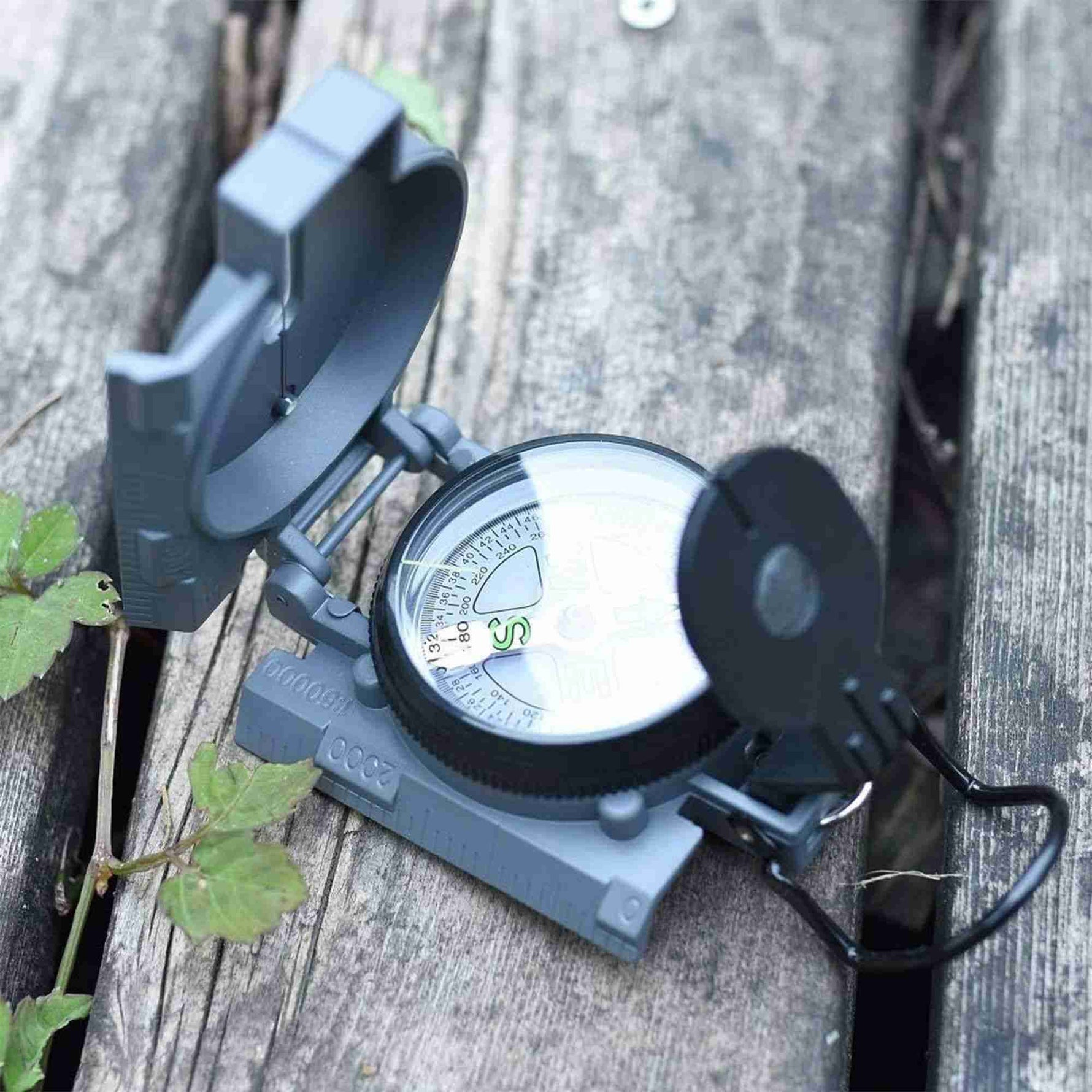 Compass on a wooden surface with greenery