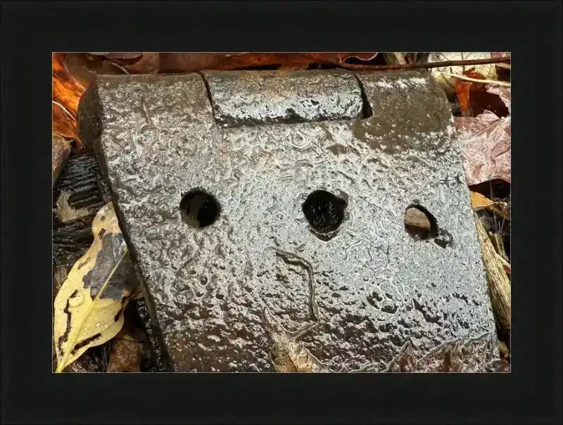 Rusty antique metal hinge with weathered texture, surrounded by autumn leaves, framed print
