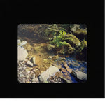 Clear stream flowing over rocks with mossy banks and green plants, natural world photography print