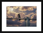 Pigeon perched on fence against cloudy sky with full moon, framed print