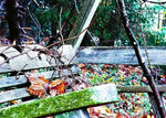 Weathered wooden bench in autumn forest with fallen leaves and moss, nature photography print
