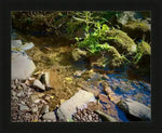 Framed nature photo of a clear stream with mossy rocks, fallen leaves, and sunlight reflections — natural world artwork print