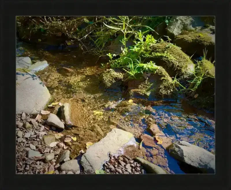 Framed nature photo of a clear stream with mossy rocks, fallen leaves, and sunlight reflections — natural world artwork print