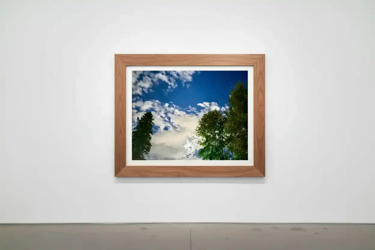 Framed nature print of trees and blue sky with clouds, displayed on white wall