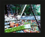 Weathered wooden bench in autumn forest with fallen leaves and moss, framed print