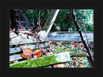 Weathered wooden bench in forest with autumn leaves, moss, and vines — nature photography print