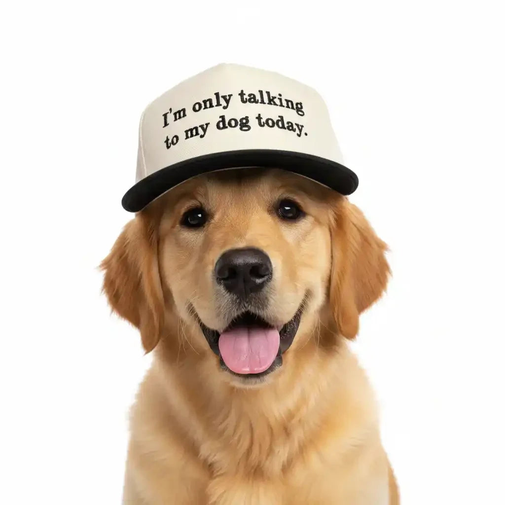 Golden retriever wearing hat that says 'I'm only talking to my dog today' - cute pet art print
