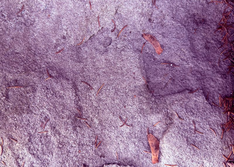 Images From the Past