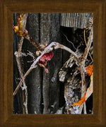 Framed nature photo of dried vines and leaves on weathered wood, rustic autumn artwork print