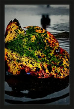 Colorful autumn leaf with green, yellow, red hues resting on wet surface, blurred beach background