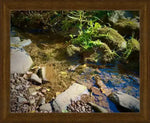 Framed nature photo of a clear stream with mossy rocks and fallen leaves, natural world artwork