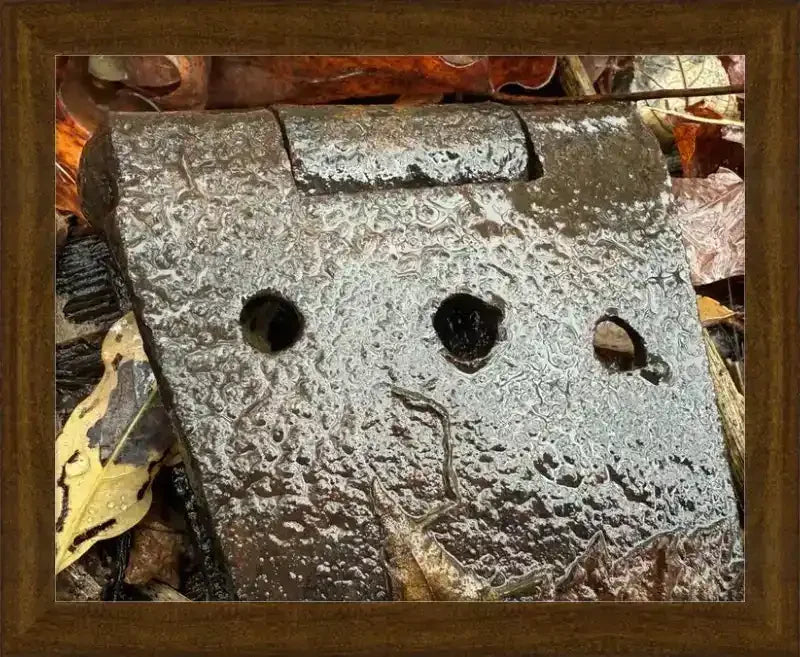 Rusty antique hinge with weathered texture, framed print of vintage hardware among autumn leaves