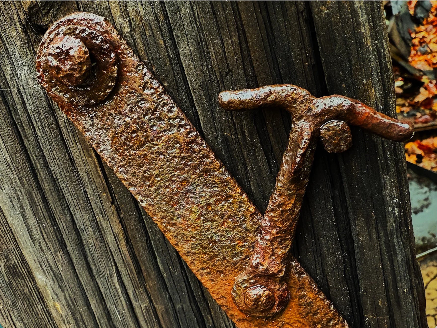 Print collection Days Gone By, picture of rusted hinge